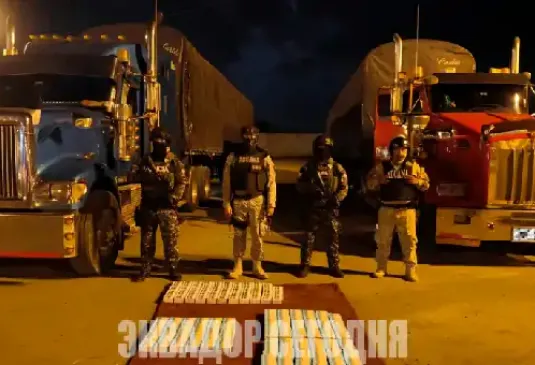 Полиция конфисковала 51 кг кетамина в трейлерах, следовавших из Перу в Эквадор Полиция конфисковала 51 кг кетамина в трейлерах, следовавших из Перу в Эквадор