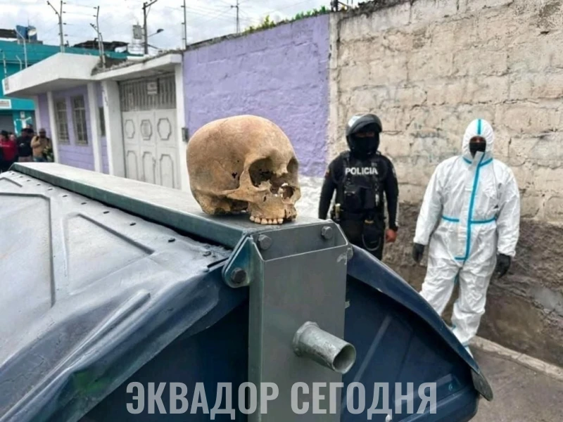 Археологическая находка в мусорном контейнере Археологическая находка в мусорном контейнере