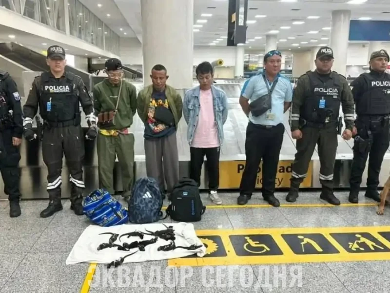 Тайландские контрабандисты Тайландские контрабандисты