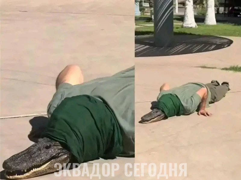 Первый рептилоид в Эквадоре Первый рептилоид в Эквадоре