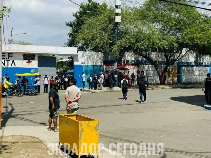 Страшная школа города Манта Страшная школа города Манта