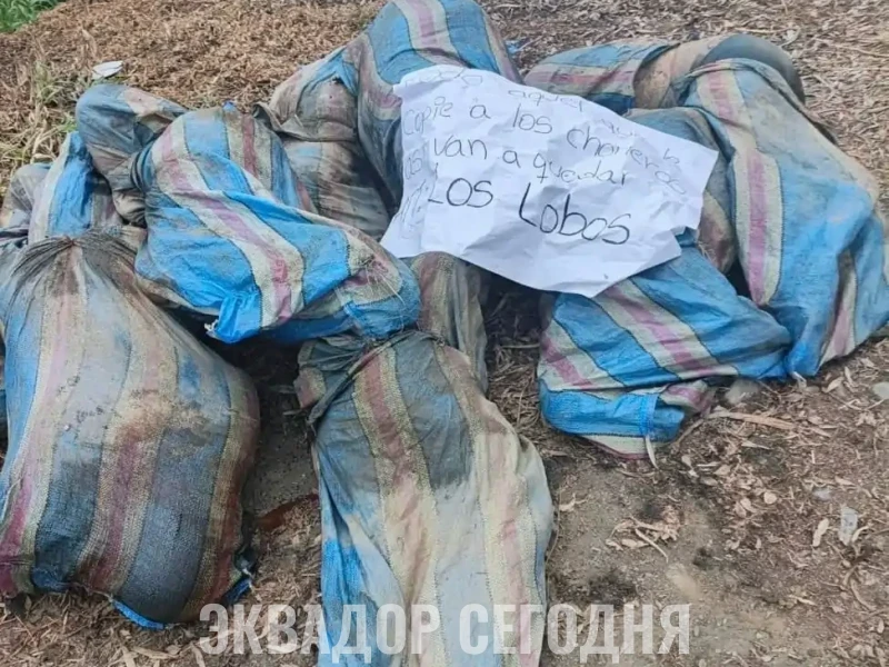 Ужасная находка Ужасная находка