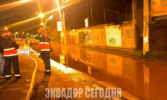 14-4oth1-1 Разное