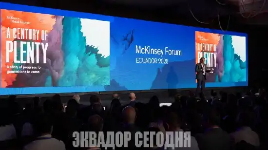 28-5neg image 28-5neg McKinsey рассматривает Эквадор как экономику, в которой есть возможности для роста и привлечения инвестиций