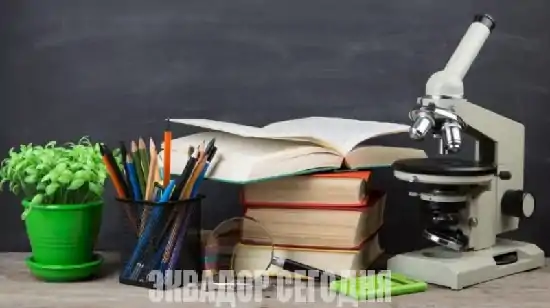 4-6oth Министерство образования Эквадора и Союз учителей вступили в конфликт