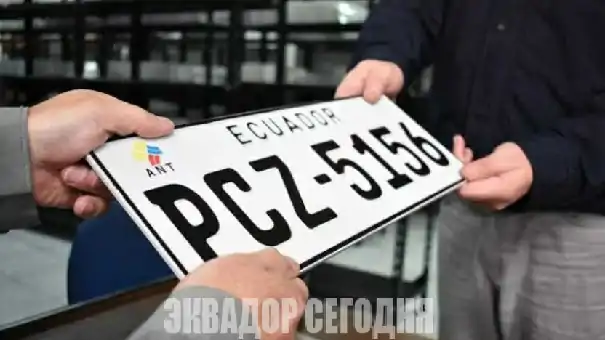 Более 8000 дубликатов номерных знаков доступны для получения в Кито