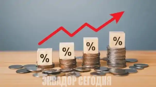 Кредитные ставки в Эквадоре меняют курс: что надо знать, прежде чем влезать в долги