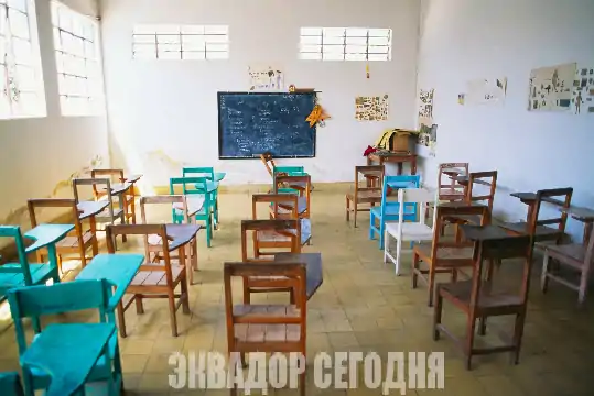 Раздел на континенте: как Латинская Америка решает вопрос гендерной теории в школах