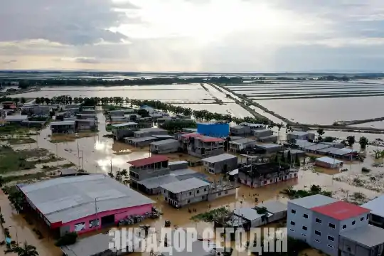 Феномен Эль Ниньо в Эквадоре: прогнозируются ливни и аномальная жара