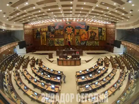 26-8pol1-1 Парламент Эквадора принял закон о поддержке полиции силами ВС