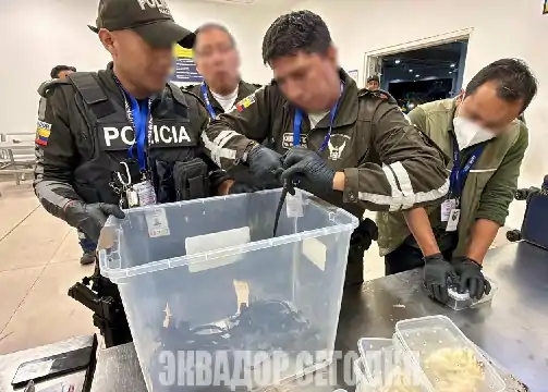 29-8jud2-2 image В аэропорту Кито задержали иностранку с морскими игуанами с Галапагос