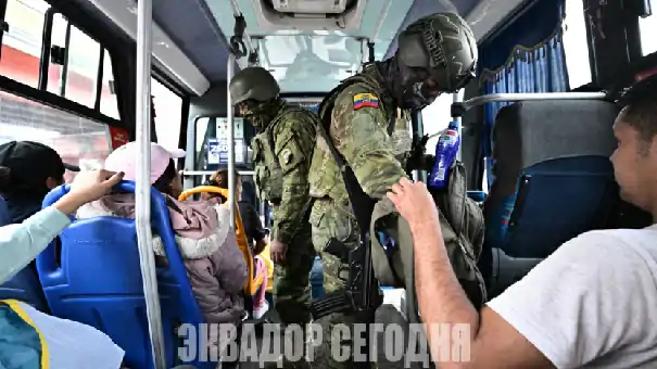 Пять районов столицы Эквадора включены в зону высокого риска из-за наркотрафика 