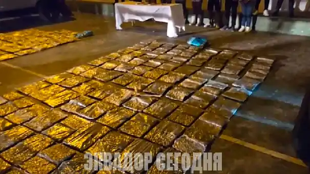 5-8jud2-2 image Полиция Эквадора пресекла провоз 100 кг наркотиков в Кито