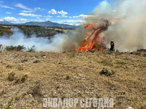 Пожарная служба Кито напомнила о штрафах за провоцирование лесных пожаров