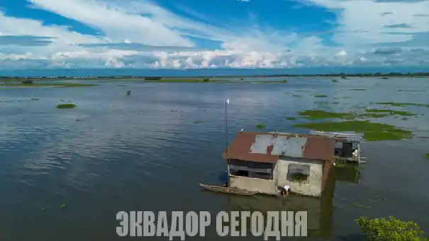 Эквадор объявляет приоритетом защиту от явления Эль-Ниньо