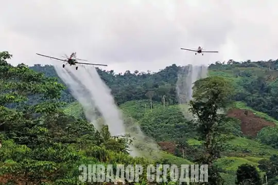 11-9oth image Колумбия начинает борьбу с посадками коки новым препаратом