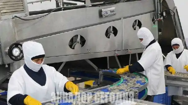 Лидером эквадорского ненефтяного экспорта стала креветка 