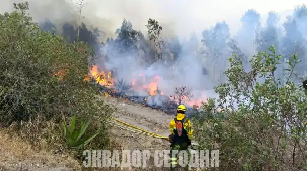 13-9jud2-2 Лесной пожар в Кито, перекрыта одна из главных дорог