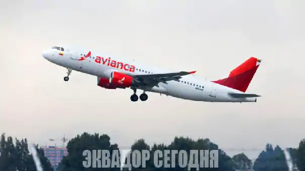 16-9tur1-1 image 16-9tur1-1 Avianca подала заявку на открытие двух внутренних рейсов