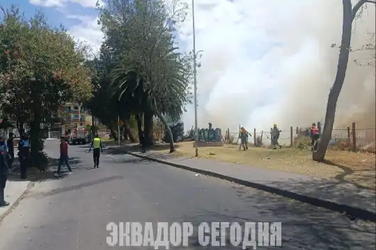 18-9jud1-1 image 18-9jud1-1 В Кито зафиксировали 15 одновременных лесных пожаров