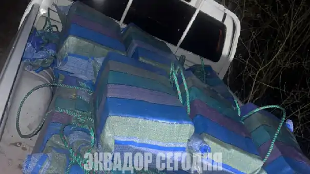 19-9b3 image 19-9b3 В Манта изъяли 1,6 тонны наркотиков