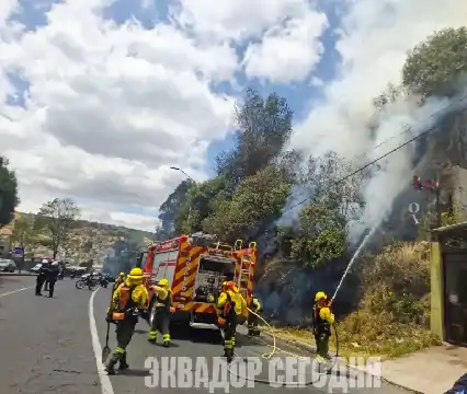 В Кито осужден виновник одного из лесных пожаров