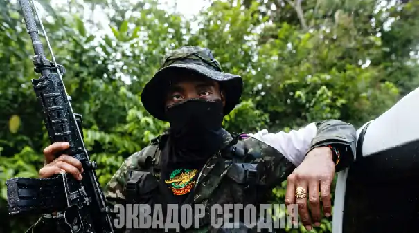 Банды Эквадора меняют ртуть на кокаин и укрепляются в Колумбии