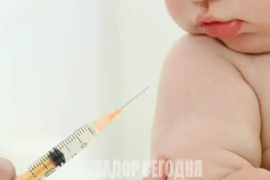 Вакцина БЦЖ в Эквадоре: медики бьют тревогу
