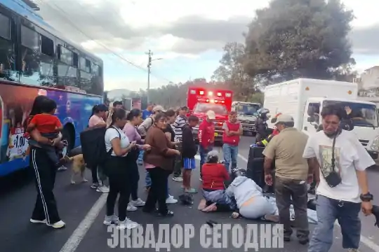 9-9jud image 9-9jud В ДТП на дорогах Кито с начала 2026 года погибли 87 человек