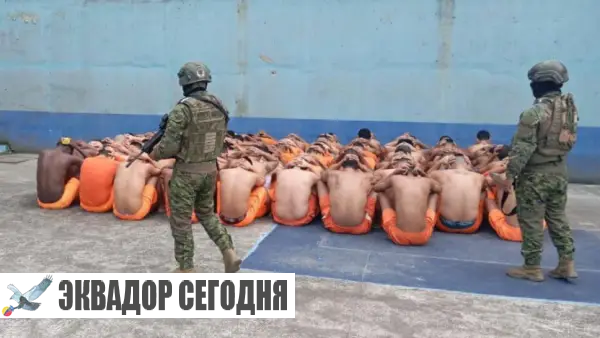 12-10jud1-1 Шесть заключенных сбежали из тюрьмы Санто Доминго через дыру в стене