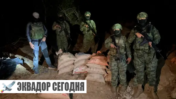 2-10jud2-2 image Пять членов группировок «Лос-Лобос» и «Командос де ла Фронтера» ликвидированы в Эквадоре
