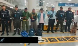Четыре года тюрьмы за контрабанду 12 морских игуан из Эквадора