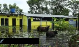 Эль-Ниньо в Эквадоре: 110 тысяч учащихся и 4080 школ в зоне риска