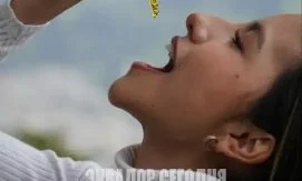 Индустрия непсихоактивной конопли Эквадора расширяет экспорт
