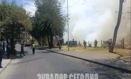 В Кито зафиксировали 15 одновременных лесных пожаров