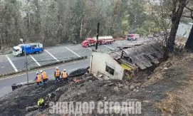 Лесной пожар в столице Эквадора: ликвидация заняла сутки