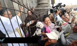Обряд освящения домашних животных пройдет в приходах Эквадора