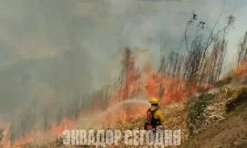 Лесные пожары в Эквадоре: штрафы и защита от дыма