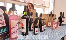 В Эквадоре запустят программу на 5 000 образовательных грантов для женщин