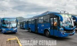 &laquo;Пассажир-инкогнито&raquo; проверит качество работы автобусов в Кито