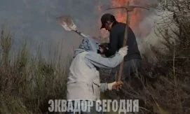 Жители Кито помогают тушить лесной пожар на холме Каситагуа